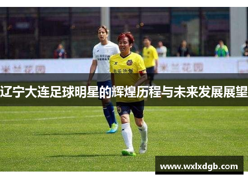 辽宁大连足球明星的辉煌历程与未来发展展望