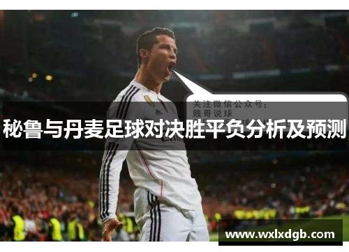 秘鲁与丹麦足球对决胜平负分析及预测
